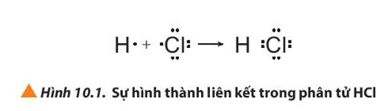 Giải thích sự hình thành liên kết trong các phân tử HCl, O2 và N2 (ảnh 1)