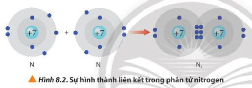 Từ Hình 8.2, cho biết mỗi nguyên tử nitrogen đã đạt được cấu hình electron (ảnh 1)
