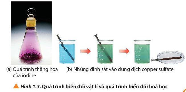 Quan sát Hình 1.3, cho biết trong các quá trình (ảnh 1)