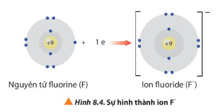 Ion sodium và ion fluoride có cấu hình electron của các khi hiếm tương ứng nào? (ảnh 1)