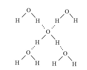 Giải thích vì sao một phân tử nước có thể tạo được liên kết hydrogen tối đa (ảnh 1)