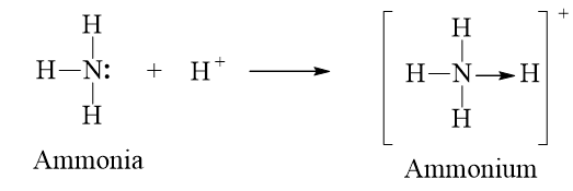 Trình bày liên kết cho nhận trong ion NH4+ (ảnh 1)