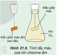 Tìm hiểu tính tẩy màu của khí chlorine ẩm
