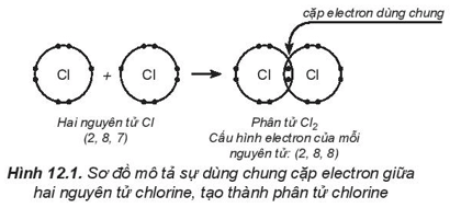 Lý thuyết Hóa học 10 Kết nối tri thức Bài 12: Liên kết cộng hóa trị