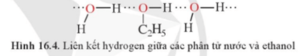 Vì sao ethanol có khả năng tan vô hạn trong nước