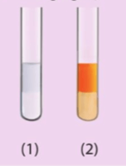 Dưới đây là hình ảnh các ống nghiệm chứa hexane và hex-1-ene sau khi được thêm nước bromine rồi lắc đều