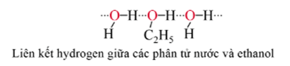 Lý thuyết Hóa học 11 Cánh diều Bài 16: Alcohol