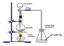 Trắc nghiệm Hóa học 11 Bài 6: Sulfur và sulfur dioxide | Cánh diều