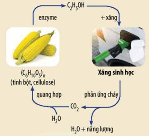 Tìm hiểu và cho biết xăng E5 là gì Vì sao xăng được trộn thêm 1 lượng ethanol