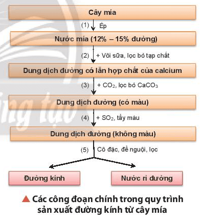 Trong quy trình sản xuất đường từ cây mía (hình bên), phương pháp kết tinh được sử dụng