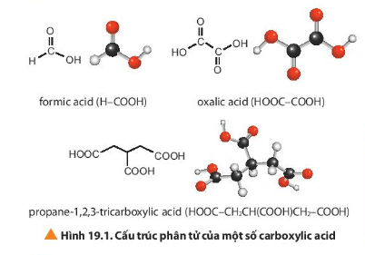 Quan sát Hình 19.1 hãy nêu đặc điểm chung về cấu tạo của carboxylic acid