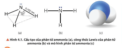 Quan sát Hình 4.1, mô tả cấu tạo của phân tử ammonia