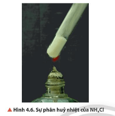 Đun nóng NH4Cl (Hình 4.6) thấy có hiện tượng khói trắng trong ống nghiệm