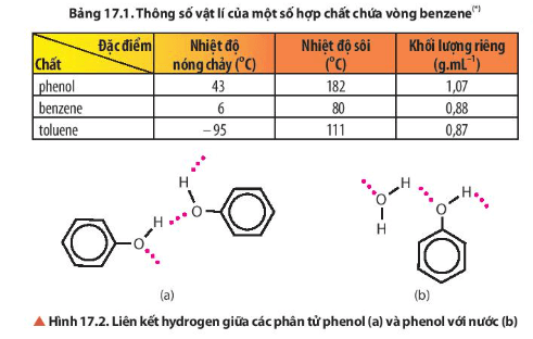 Đọc thông tin trong Bảng 17.1 và Hình 17.2, so sánh nhiệt độ nóng chảy của phenol