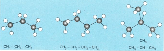Những nguyên tử carbon trong phân tử alkane không phân nhánh có nằm trên cùng một đường thẳng không?