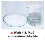 Quan sát Hình 4.5, cho biết trạng thái, màu sắc của muối ammonium chloride và đặc tính liên kết