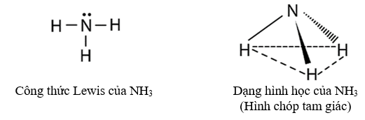 Lý thuyết  Bài 4: Ammonia và một số hợp chất ammonium - Hóa học 11 Chân trời sáng tạo