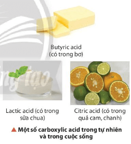 Một số loại acid hữu cơ được dùng trong thực phẩm như acetic acid, lactic acid