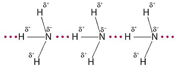 Trắc nghiệm Hóa học 11 Bài 4: Ammonia và một số hợp chất ammonium | Chân trời sáng tạo (ảnh 1)