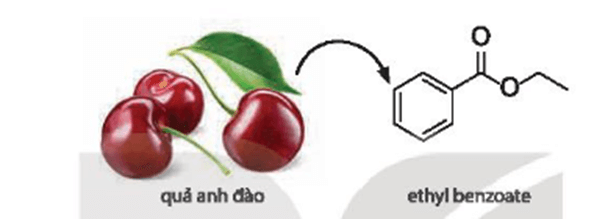 Ethyl benzoate là hợp chất chính tạo mùi thơm của quả anh đào (cherry). Hãy viết phương trình hoá học