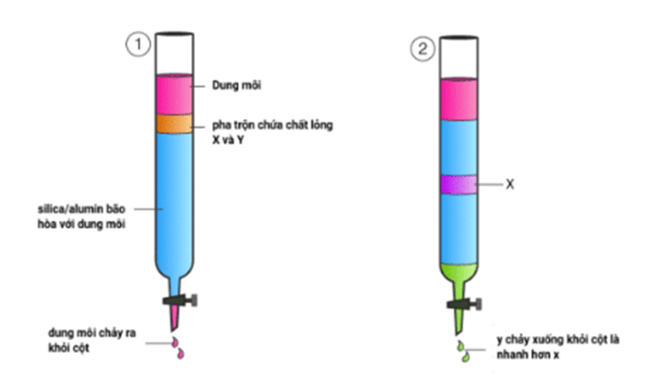 Lý thuyết Hóa học 11 Kết nối tri thức Bài 11: Phương pháp tách biệt và tinh chế hợp chất hữu cơ