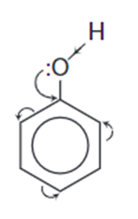 Lý thuyết Hóa học 11 Kết nối tri thức Bài 21: Phenol