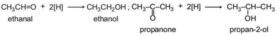 Lý thuyết Hóa học 11 Kết nối tri thức Bài 23: Hợp chất carbonyl