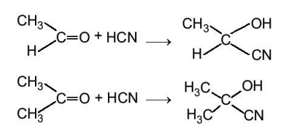 Lý thuyết Hóa học 11 Kết nối tri thức Bài 23: Hợp chất carbonyl