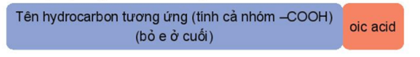 Lý thuyết Hóa học 11 Kết nối tri thức Bài 24: Carboxylic acid