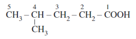 Lý thuyết Hóa học 11 Kết nối tri thức Bài 24: Carboxylic acid