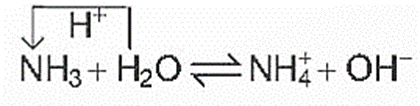 Lý thuyết Hóa học 11 Kết nối tri thức Bài 5: Ammonia. Muối ammonium