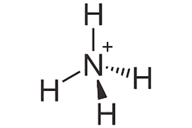 Lý thuyết Hóa học 11 Kết nối tri thức Bài 5: Ammonia. Muối ammonium