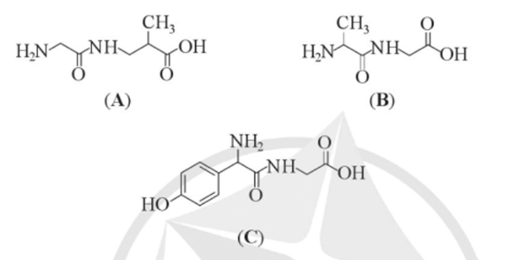 Phân tử chất nào dưới đây không chứa liên kết peptide? Giải thích