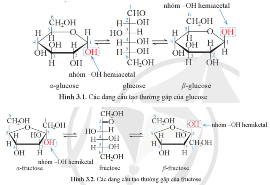 Quan sát Hình 3.1 và Hình 3.2, cho biết vì sao nói glucose và fructose