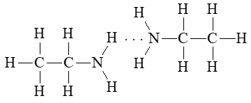 Biểu diễn liên kết hydrogen giữa các phân tử ethylamine với nhau và với nước