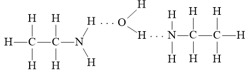 Biểu diễn liên kết hydrogen giữa các phân tử ethylamine với nhau và với nước