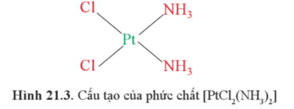 Hãy chỉ ra nguyên tử trung tâm và phối tử trong phức chất (3)