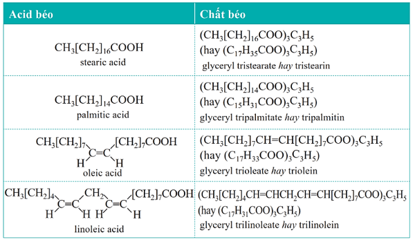 Lý thuyết Hóa học 12 Bài 1: Ester – Lipid | Cánh diều