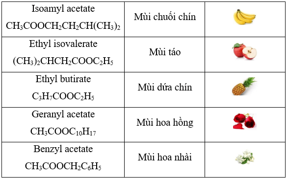 Lý thuyết Hóa học 12 Bài 1: Ester – Lipid | Cánh diều