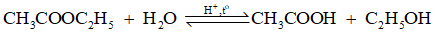 Lý thuyết Hóa học 12 Bài 1: Ester – Lipid | Cánh diều