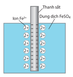 Lý thuyết Hóa học 12 Bài 10: Thế điện cực chuẩn của kim loại | Cánh diều