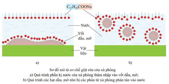 Lý thuyết Hóa học 12 Bài 2: Xà phòng và chất giặt rửa tổng hợp | Cánh diều