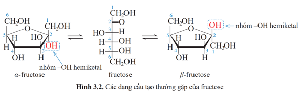 Lý thuyết Hóa học 12 Bài 3: Giới thiệu về carbohydrate | Cánh diều