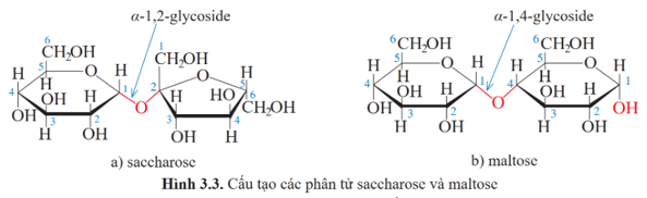 Lý thuyết Hóa học 12 Bài 3: Giới thiệu về carbohydrate | Cánh diều