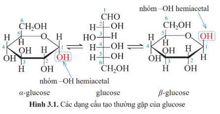 Lý thuyết Hóa học 12 Bài 3: Giới thiệu về carbohydrate | Cánh diều