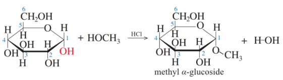 Lý thuyết Hóa học 12 Bài 4: Tính chất hoá học của carbohydrate | Cánh diều