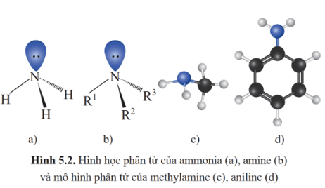 Lý thuyết Hóa học 12 Bài 5: Amine | Cánh diều