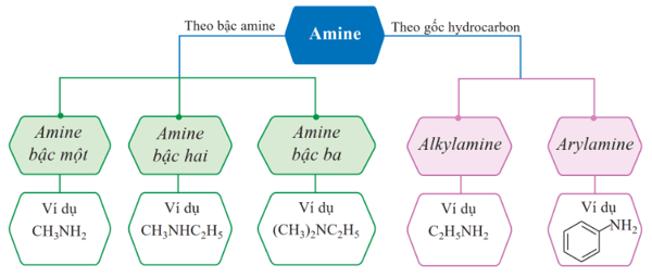 Lý thuyết Hóa học 12 Bài 5: Amine | Cánh diều