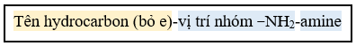 Lý thuyết Hóa học 12 Bài 5: Amine | Cánh diều