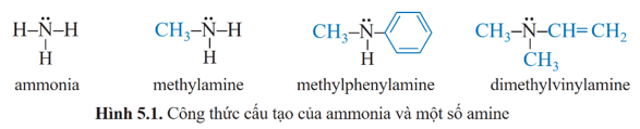 Lý thuyết Hóa học 12 Bài 5: Amine | Cánh diều